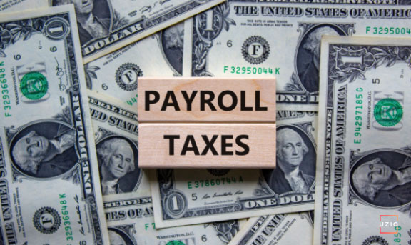 What Are Payroll Taxes And Why Do Small Business Owners Must Know About 