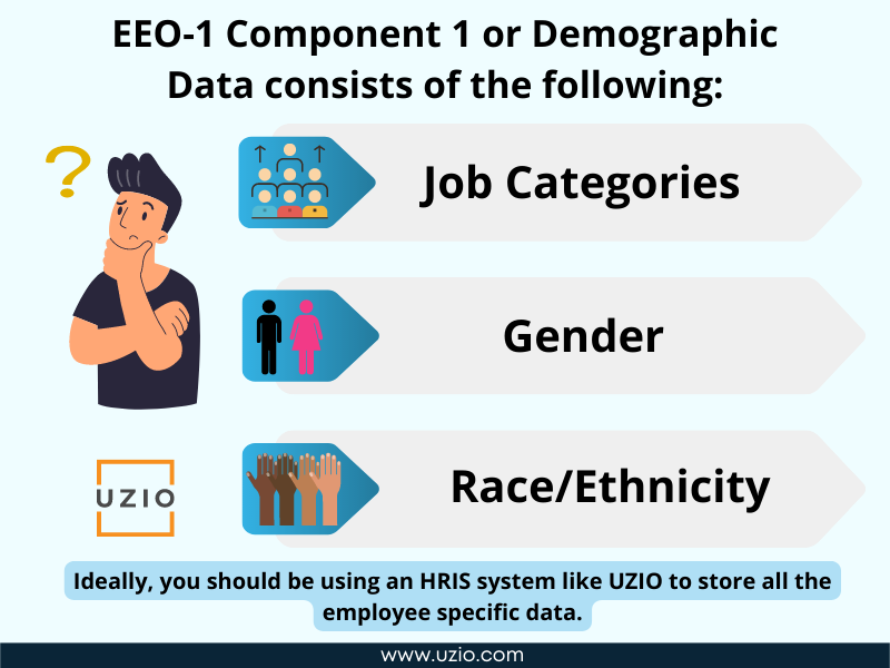 What is the EEO1 Report? How Do I Create one? UZIO Inc