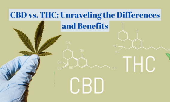 The Ultimate Guide to CBD and THC: Differences, Benefits, and How to Choose