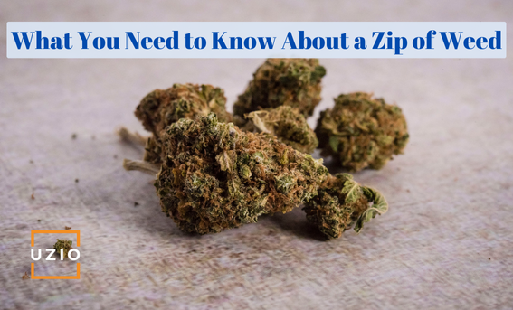 A Complete Overview of a Zip of Weed