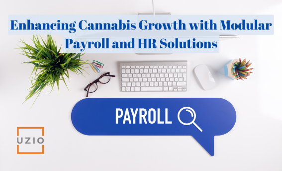 Scalable Payroll and HR Solutions: A Catalyst for Cannabis Business Expansion