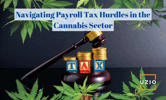 Mastering Payroll Taxes in the Cannabis Industry